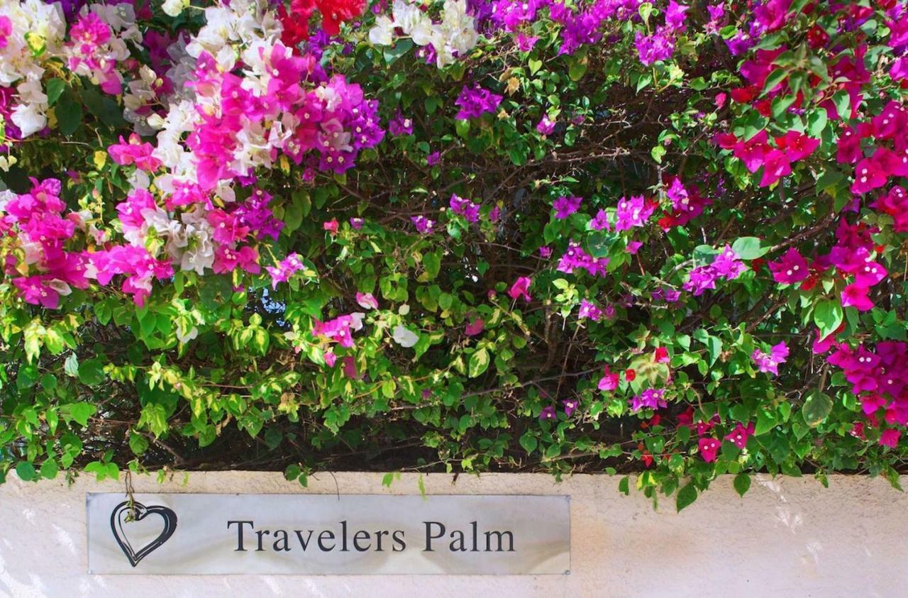 Travelers Palm Inn Key West Exteriér fotografie
